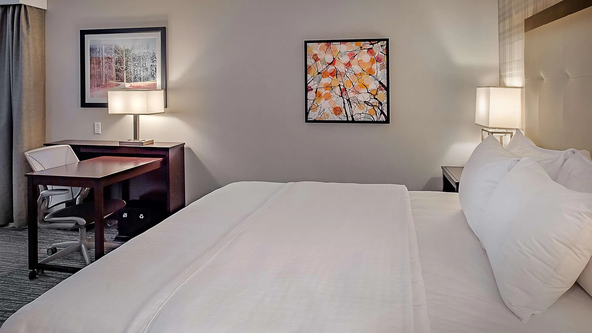 Homewood Suites By Hilton St. Louis Westport Maryland Heights Hotel