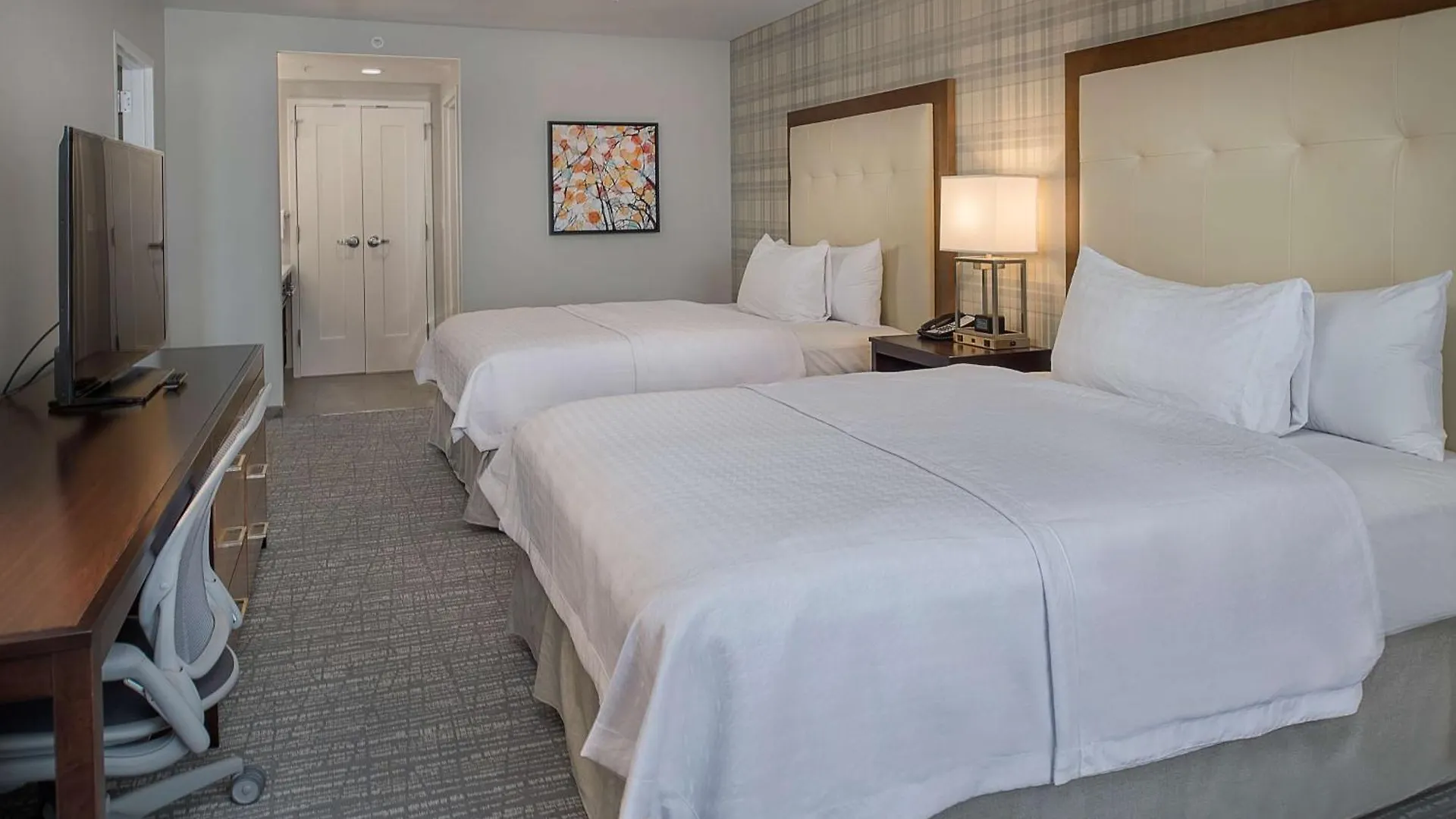 Homewood Suites By Hilton St. Louis Westport Maryland Heights Hotel